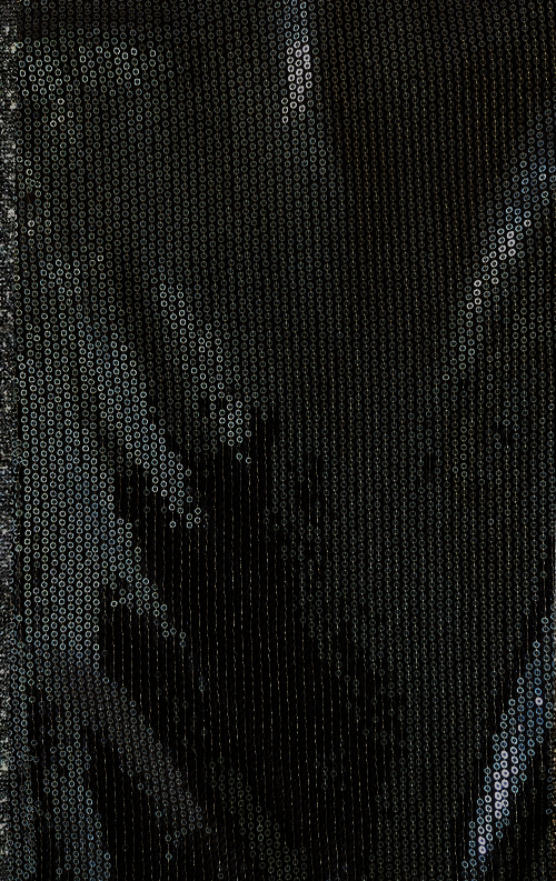 Fabric_Sequin_Black.png